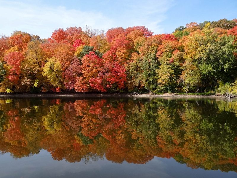 Red, orange and gold autumn trees reflected in still river water